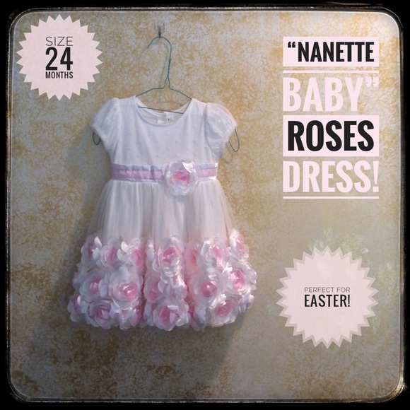 Nanette Baby Other - ❤️ 3 for 15❤️ “Nanette Baby” Tulle &Roses Dress!